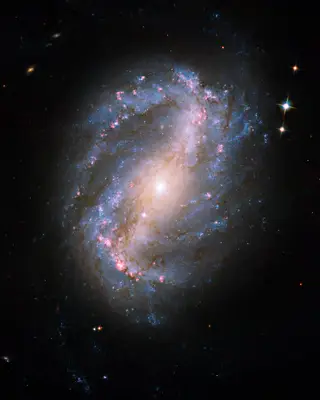 Barred spiral galaxy NGC 6217