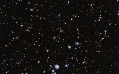Spiderweb Protocluster (NIRCam)