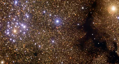 The Starry Dandelion and the Cosmic Gecko NGC 6520