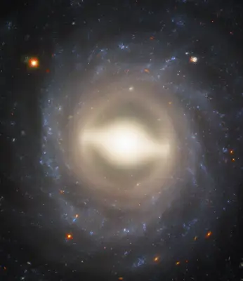 Spirals and supernovae
